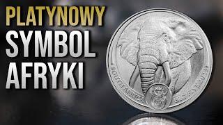 Platynowa moneta Big Five Słoń 1 oz 