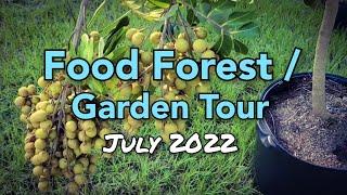 Food Forest  Garden Tour July 2022