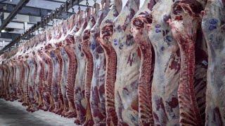  Обзор  Разруб говядины Рынок. meat cutting meat butcher 肉切肉屠夫猪肉牛肉羊肉鸡係食物呀！