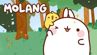 MOLANG revient sur Pitchoun Toons ️  Dessin Animé Mignon