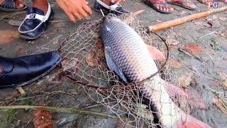 amazing big rui fish hunting video hook using big fish fishing video new