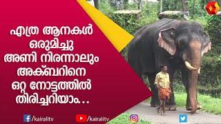 ഇവനാണ് യഥാർത്ഥ സഹ്യപുത്രൻ  പ്ലാത്തോട്ടം അക്ബർ  Plathottam Akbar  E4 Elephant  Kairali TV