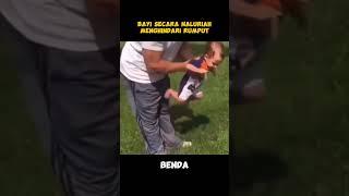 bayi secara naluriah menghindari rumput #baby #bayi #bayilucu #bayigemes #bayiimut #bayipintar