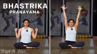 Bhastrika Pranayama  Bhastrika Pranayama for Beginners  Breathing Exercise  @VentunoYoga