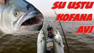 At Çek Su Ustu Kofana Avı - Bluefish on Topwater