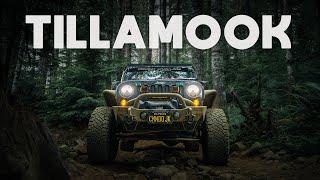 Overlanding Tillamook State Forest  Tillamook OHV 4x4 Trails Cedar Tree Trail and Firebreak #5