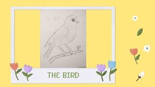 How to make sketch of bird.