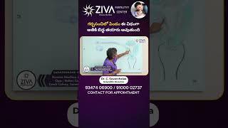 పిండం గర్భసంచిలో అతకాలంటే  Natural Pregnancy In Telugu  Dr C Suvarchala  Ziva Fertility