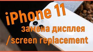 iPhone 11 Замена Дисплея  iPhone 11 Screen Replacement