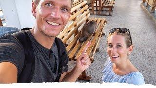 Neues Weltreise Land und komplette Planänderung • Ecuador Galapagos-Inseln  VLOG 428