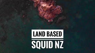 How to Catch Squid EGI LAND BASED squid NZ