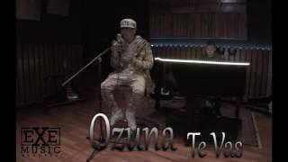 Ozuna - Te Vas Versión Reggaetón Audio Official