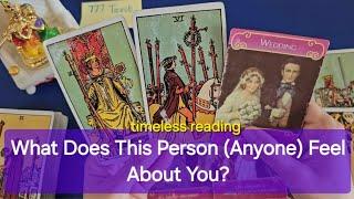 What Does This Person Anyone Feel About You? Timeless Reading
