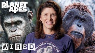 Every Ape in Planet of the Apes Explained  WIRED