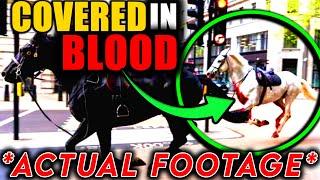 BLOOD Covered White Horse in London - REVELATION and END TIMES Signs