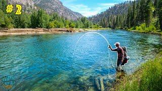 Fly Fishing Hiking and Camping in California  California Gold Pt 2 Kern River Rainbow