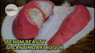 DURIAN MERAH YANG RASANYA ENAK BANGET