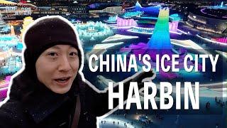 Exploring why Chinas ice city Harbin is now so hot