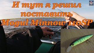 MOGUL MINNOW 110SP Помог уйти от ноля 