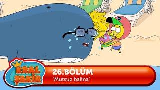 Kral Şakir 26. Bölüm - Mutsuz Balina