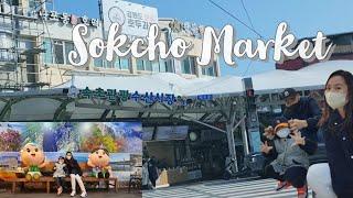 Sokcho Market 속초 관광 수산시장 Tour South korea