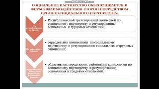 Правовой статус органов социального партнерства