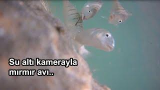 Su altı kamerayla ilk mırmır avı deneyimi.. Underwater fishing..