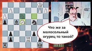 Малосольный огурец IM MatthewG-p4p против Гуру шахмат.