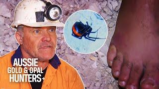 A VENOMOUS Spider Bite Takes Chris Cheal Out Of The Opal Game  Outback Opal Hunters