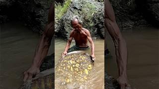 Rejeki bapak inihari ini menemukan emas murnidi tambang secara manual #goldhunter #goldhunting