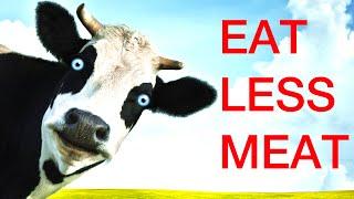 Fight Climate Change Eat Less Meat