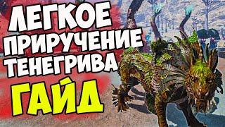 Как ЛЕГКО Приручить ТЕНЕГРИВА? Стоит ли Тамить ТЕНЕВУЮ ГРИВУ ? how to tame SHADOWMANE Genesis 2