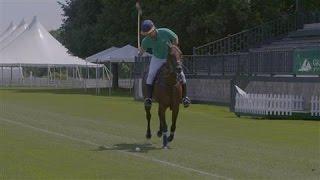 A Polo Primer Lessons From a Pro
