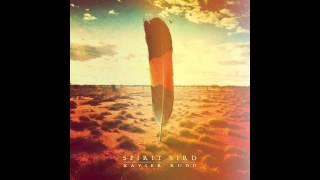 Xavier Rudd - Spirit Bird audio HQ