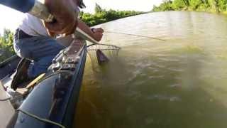 Catfishing- Running the trotlines