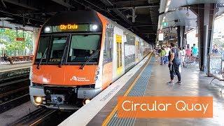 Sydney Trains Vlog 1515 Circular Quay With a Variety of Trains