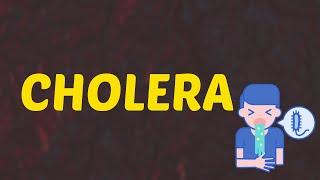 What Does CHOLERA Means  Meanings And Definitions With Example in ENGLISH