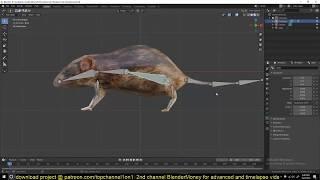 modeling and texturing a rat in blender 2 8