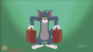 Tom and Jerry- Tom Muscle Growth