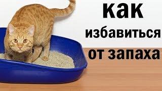 Как избавиться от кошачьего запаха. САМОЕ ЛУЧШЕЕ СРЕДСТВО.