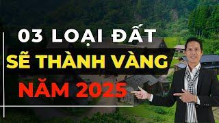 03 loại đất trở thành vàng khi luật đất đai mới thực thi năm 2025  Hiệp Bất Động Sản Official