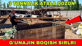 G’UNAJIN BOQISH SIRLARI 91-150-10-20 ATALANI ENG ARZON USULI