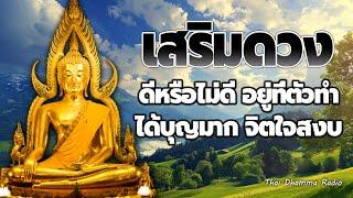 ธรรมะก่อนนอน  ใจสงบ รู้จักปล่อยวาง ได้ข้อคิดดีๆ  Thai Dhamma Radio