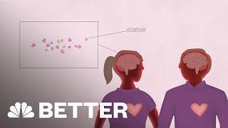 Your Brain On Love  Better  NBC News