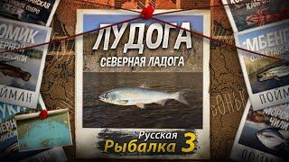 Мутант Лудога. Северная Ладога. Русская рыбалка 3.