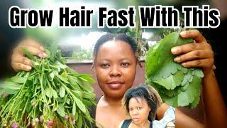 Nigerian Village Girl Grows Hair Faster With These Plantswash day routine vlog Asmr