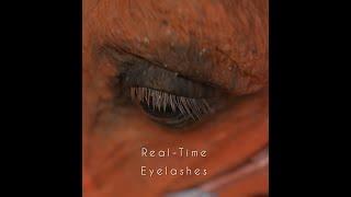 Eyelashes TimeLapse