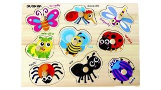 Lets learn about insects with Activity Puzzle  Best Preschool Toddler Fun Toy Learning Video