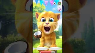 Ginger 2 🫒🫒🫐🫒🫐🫒🫒🫒🫒🫒🫐🫒🫒#shorts #viral #shortvideo #talkingtom #youtubeshorts