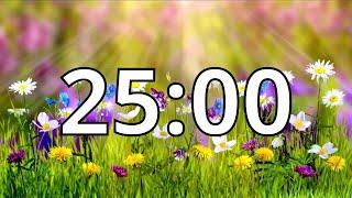 25 Minutes Timer with Music  Spring Timer